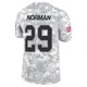 Josh Norman ＃29 Buffalo Bills Limited Arctic Camo Youth 2024 Salute to Service Jersey